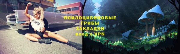 PSILOCYBIN Няндома