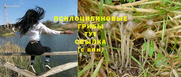 гашик Осинники