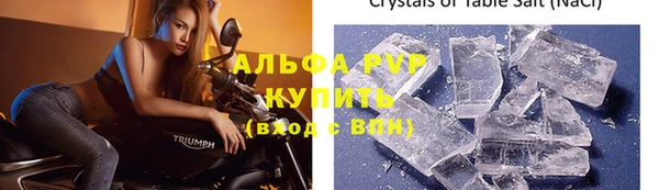 PSILOCYBIN Няндома