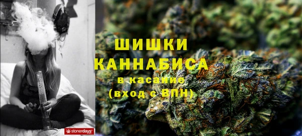 гашик Осинники