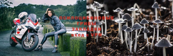 PSILOCYBIN Няндома