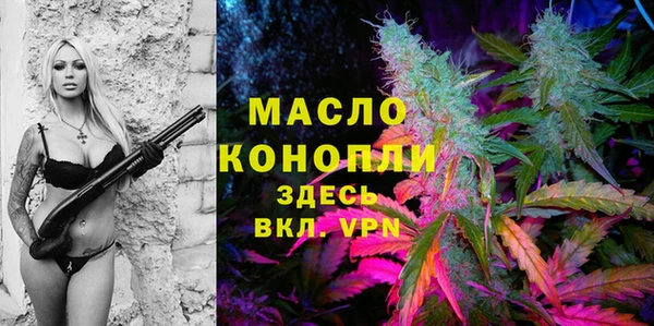 гашик Осинники