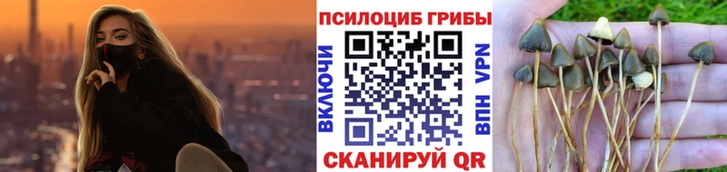 цена наркотик  Зеленоградск  Галлюциногенные грибы Magic Shrooms 