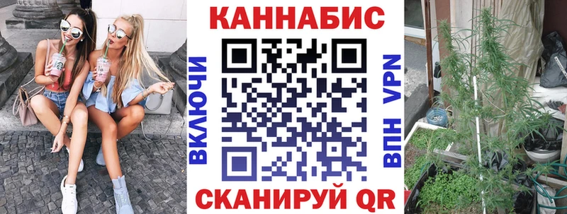 hydra ссылки  Зеленоградск  Шишки марихуана сатива 